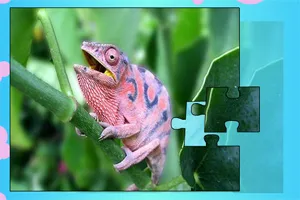 Kgame体育娱乐 APP下载二维码